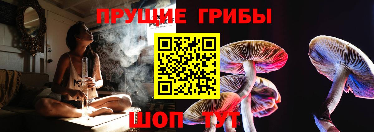Семилуки  Псилоцибиновые грибы Cubensis  Вход с VPN  цена наркотик  Галлюциногенные грибы Psilocybe 
